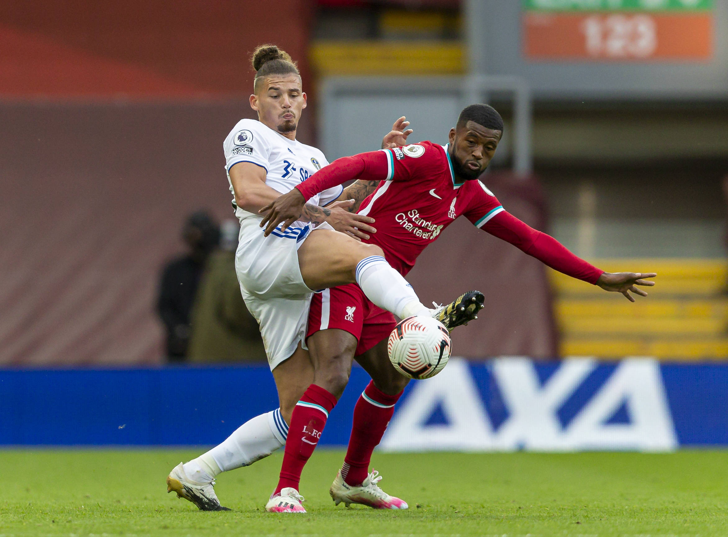 出的成熟远 出的成熟远